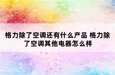 格力除了空调还有什么产品 格力除了空调其他电器怎么样